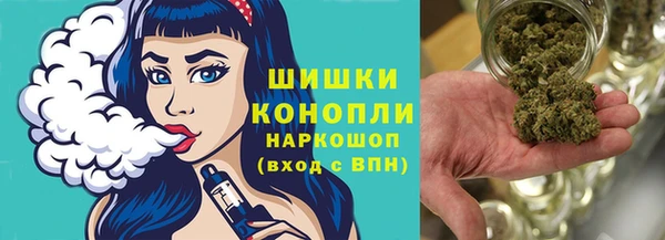 хмурый Бородино