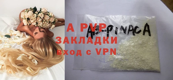 хмурый Бородино