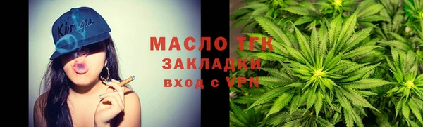 хмурый Бородино