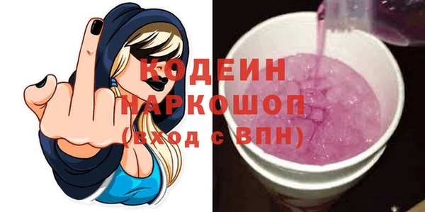 хмурый Бородино