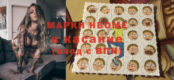 хмурый Бородино