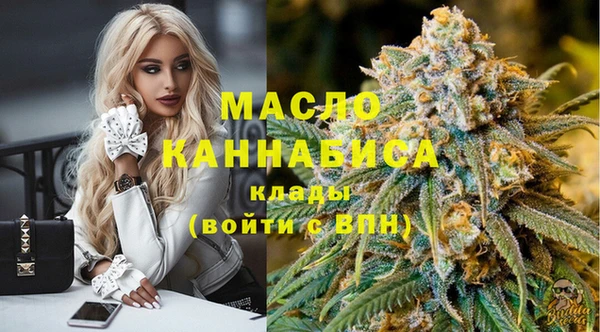 хмурый Бородино