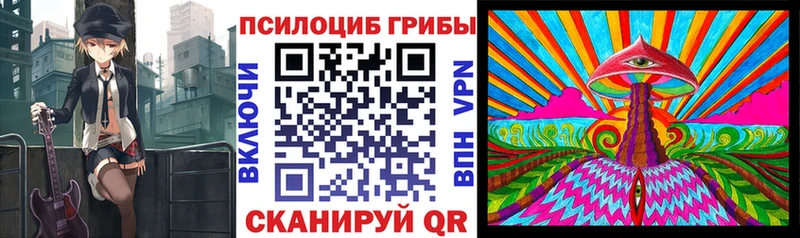 как найти закладки  shop состав  omg как зайти  Псилоцибиновые грибы мухоморы  Томари 